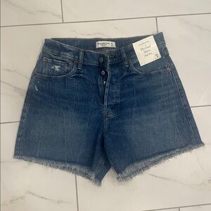 Abercrombie & Fitch The Dad Short High Rise 29